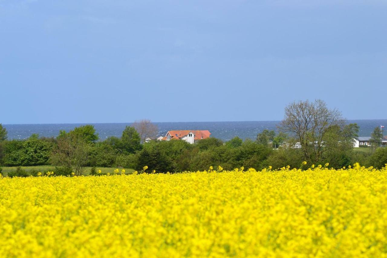 Steiner Strandappartements Appartement 210 Suedseite Mit Seitlichem Meerblick Stein  Zewnętrze zdjęcie